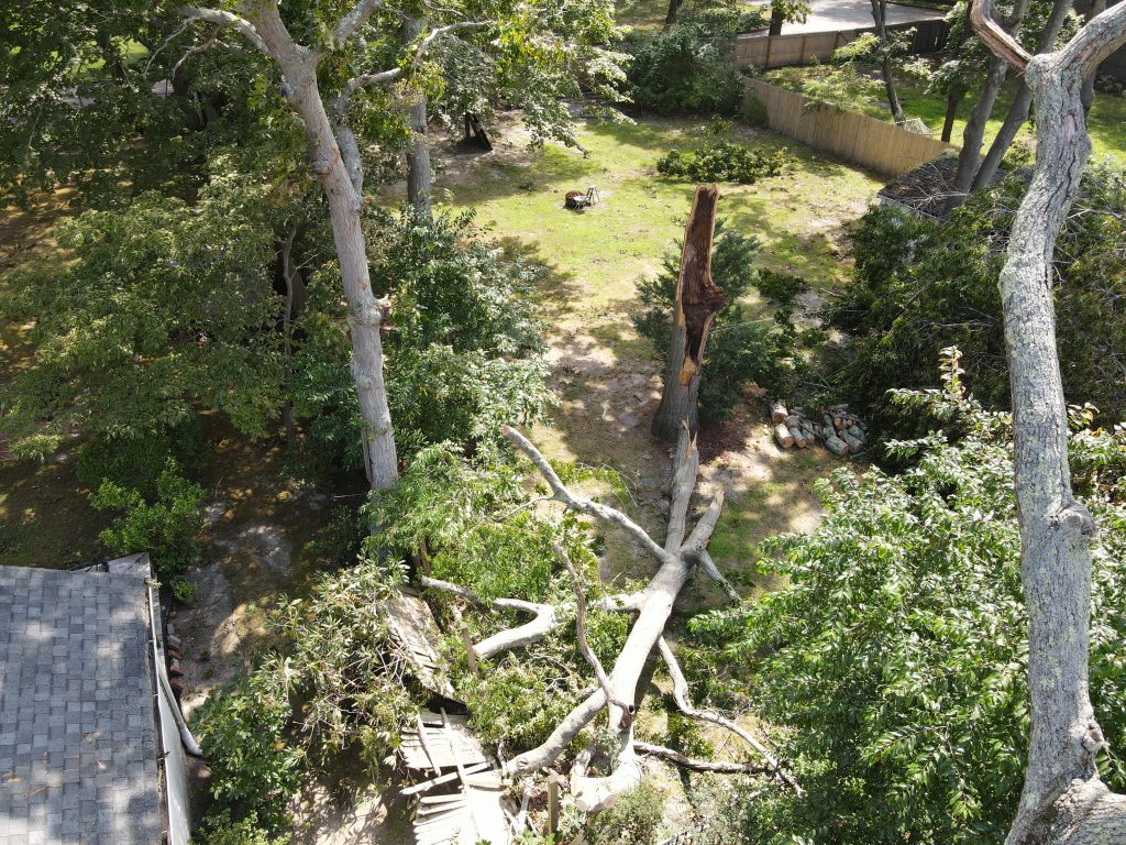 Milano Brothers project